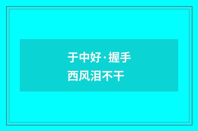 于中好·握手西风泪不干