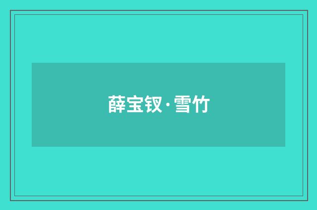 薛宝钗·雪竹