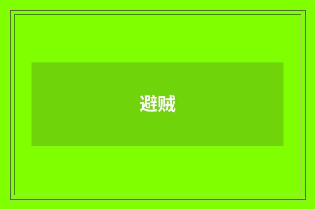 避贼
