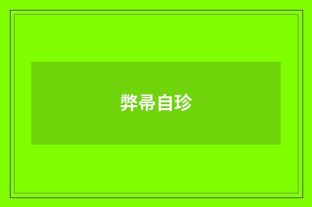 弊帚自珍