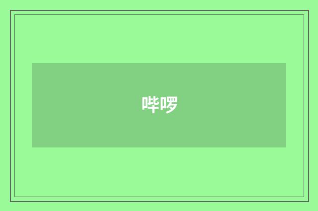 哔啰