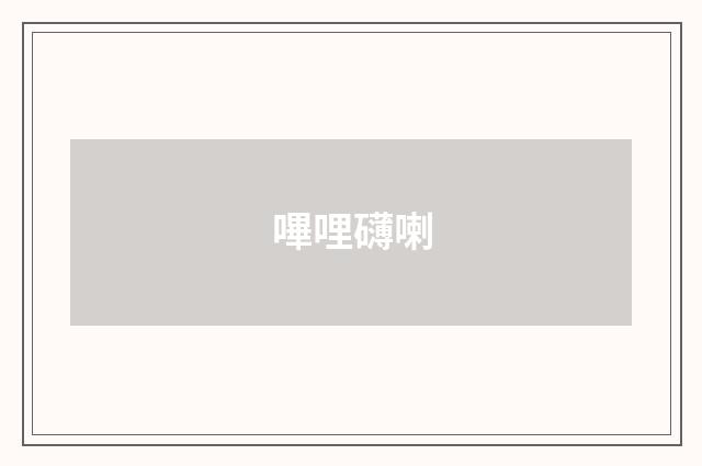 嗶哩礴喇