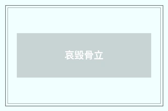哀毁骨立