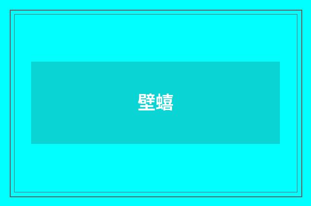 壁蟢