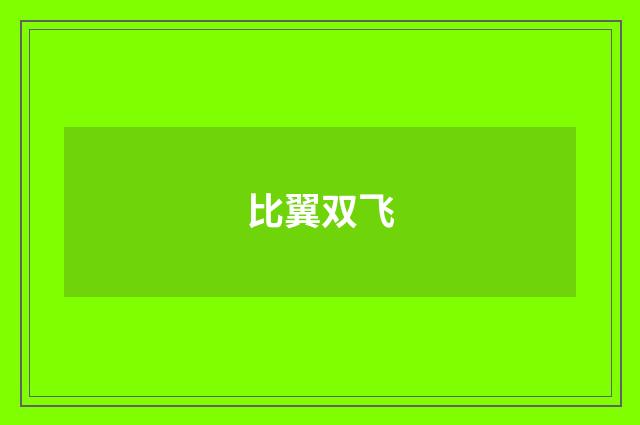 比翼双飞
