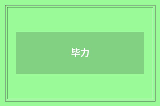 毕力