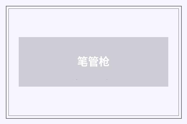 笔管枪