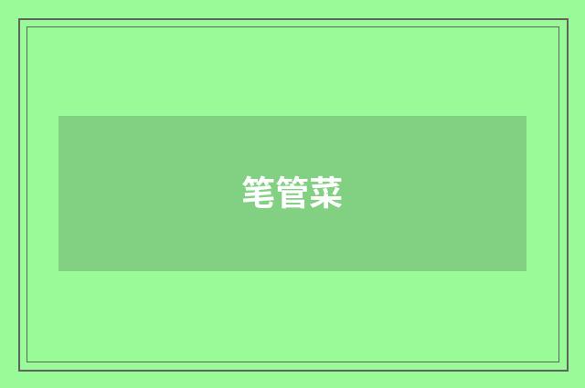 笔管菜