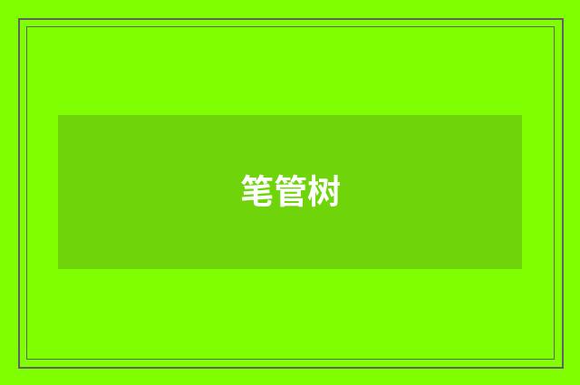 笔管树