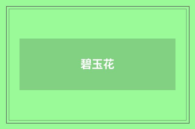 碧玉花
