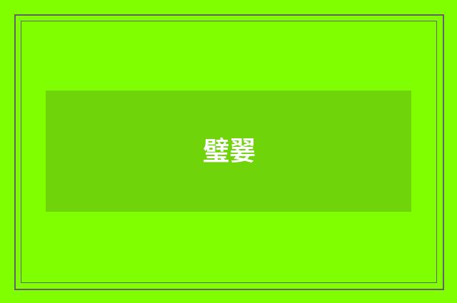 璧翣