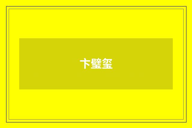 卞璧玺