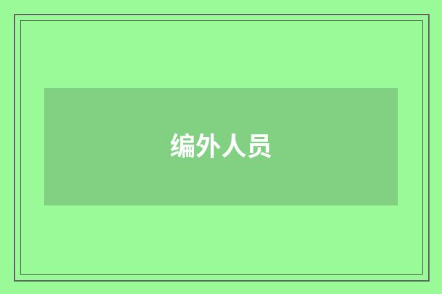 编外人员