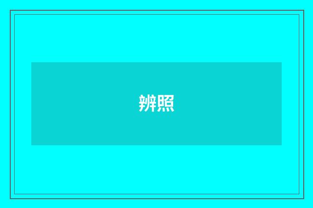 辨照