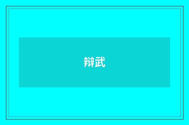 辩武