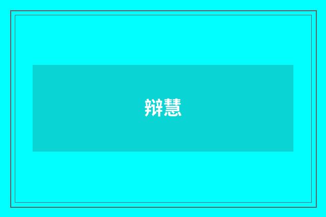 辩慧
