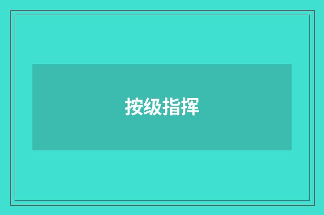 按级指挥