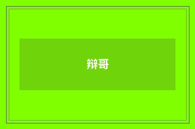 辩哥