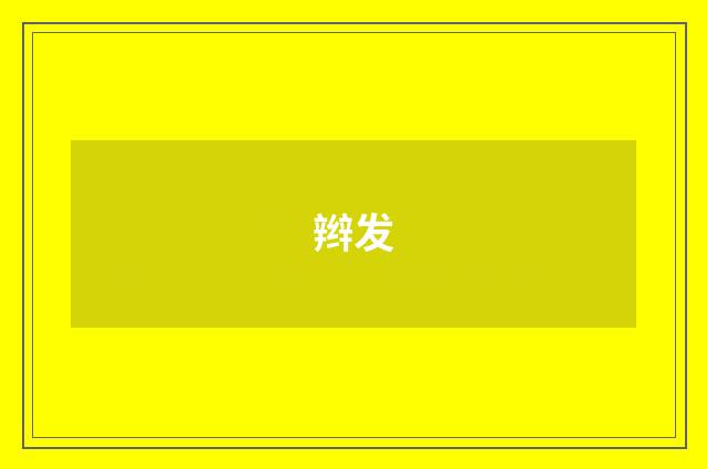 辫发