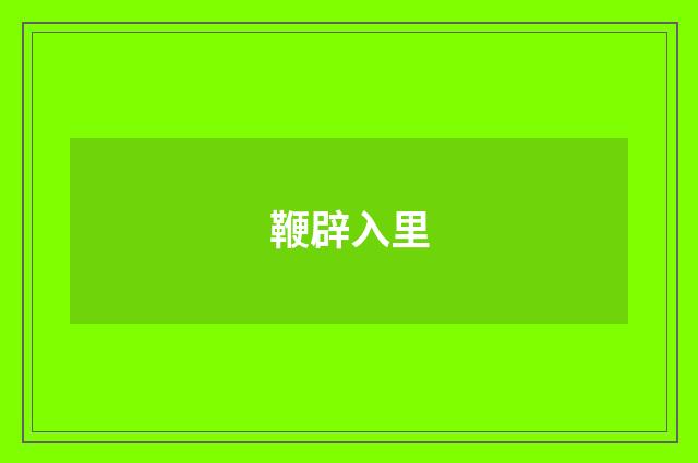 鞭辟入里