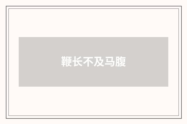 鞭长不及马腹