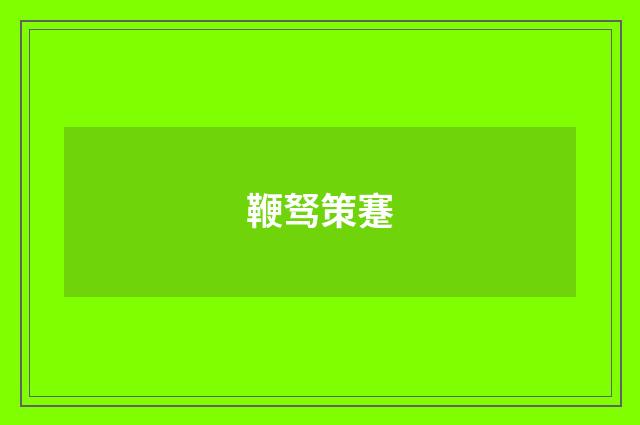 鞭驽策蹇