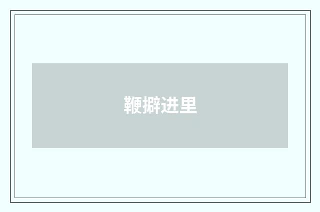 鞭擗进里
