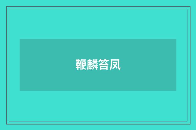 鞭麟笞凤