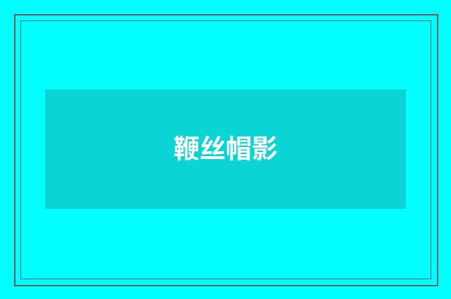 鞭丝帽影