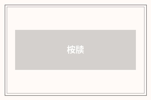 桉牍
