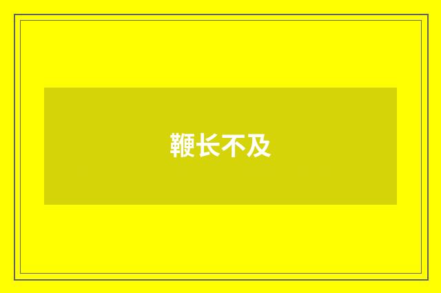 鞭长不及