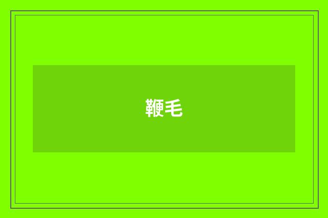 鞭毛