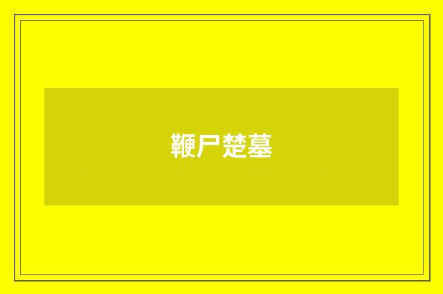 鞭尸楚墓