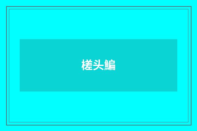 槎头鯿