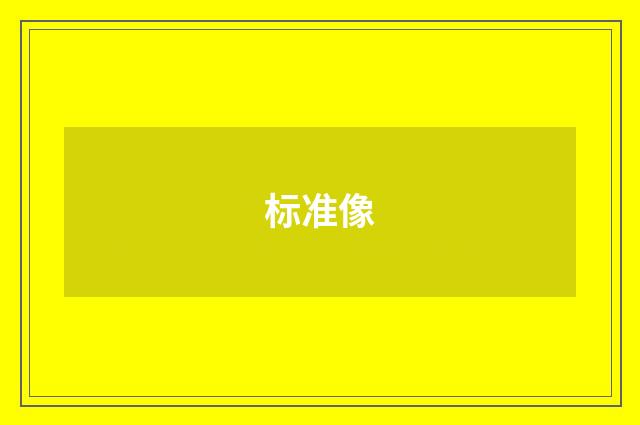标准像