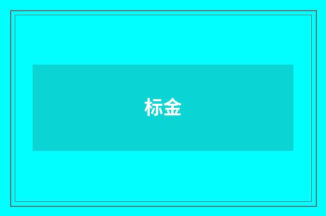 标金