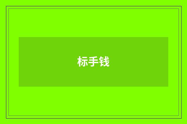 标手钱