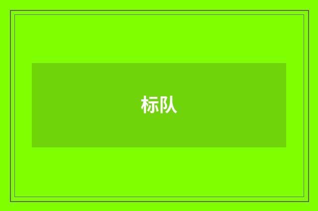 标队