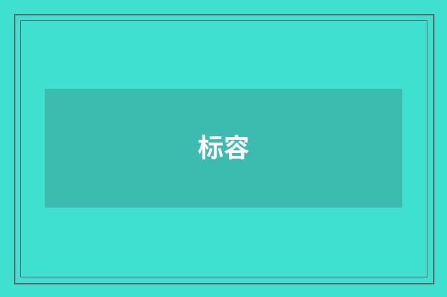 标容
