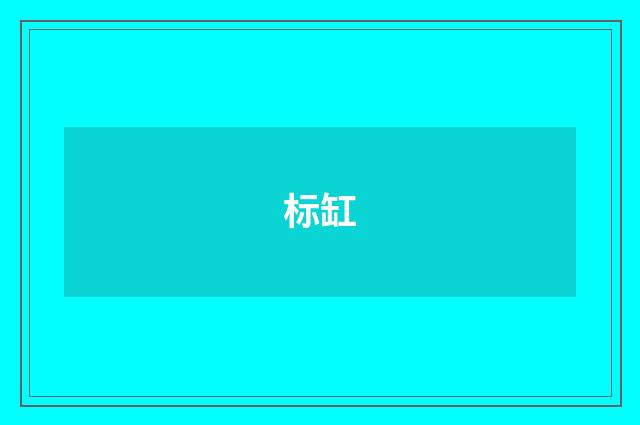 标缸
