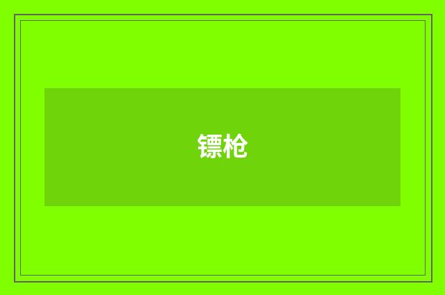 镖枪