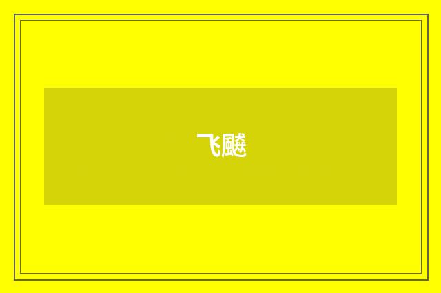 飞飇