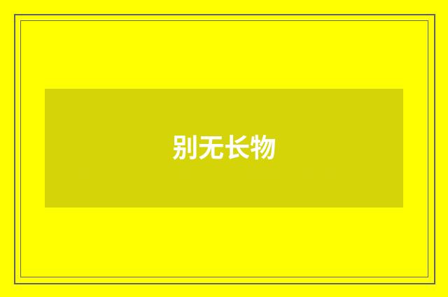 别无长物