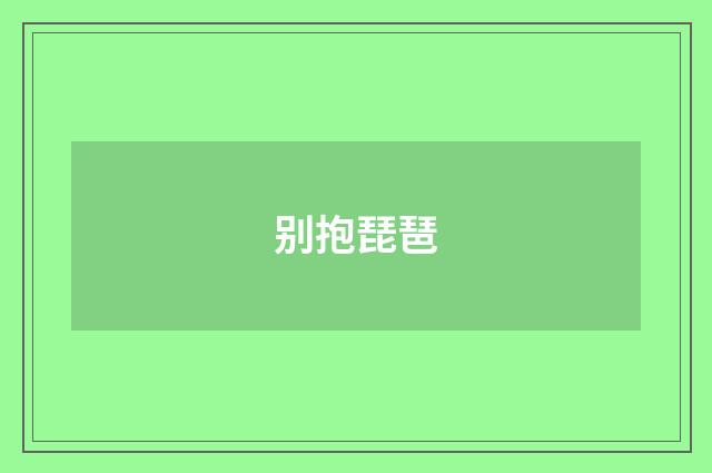 别抱琵琶