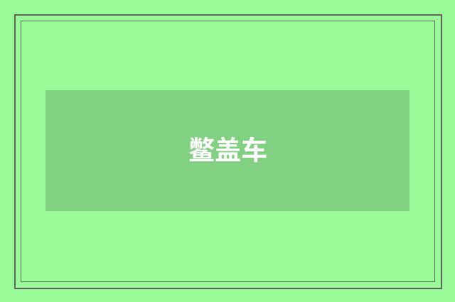 鳖盖车