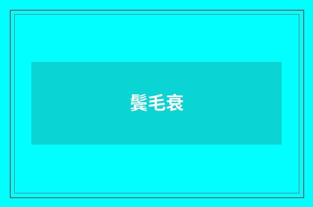 鬓毛衰