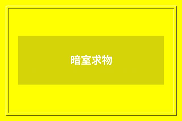 暗室求物