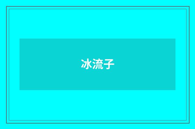 冰流子
