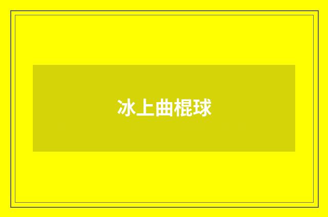 冰上曲棍球