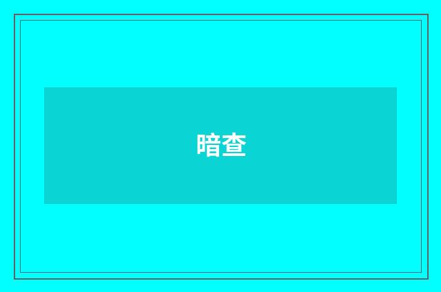 暗查